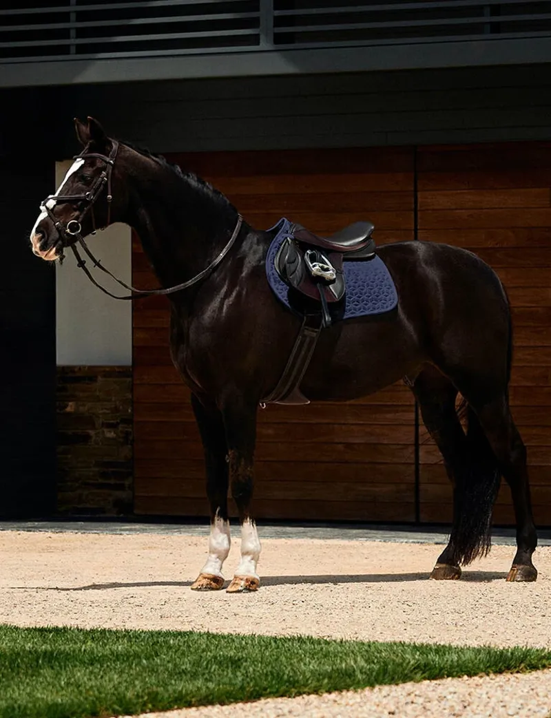 WeatherBeeta Suede Elite Air-Tec Jump Shaped Saddle Pad - Navy-1
