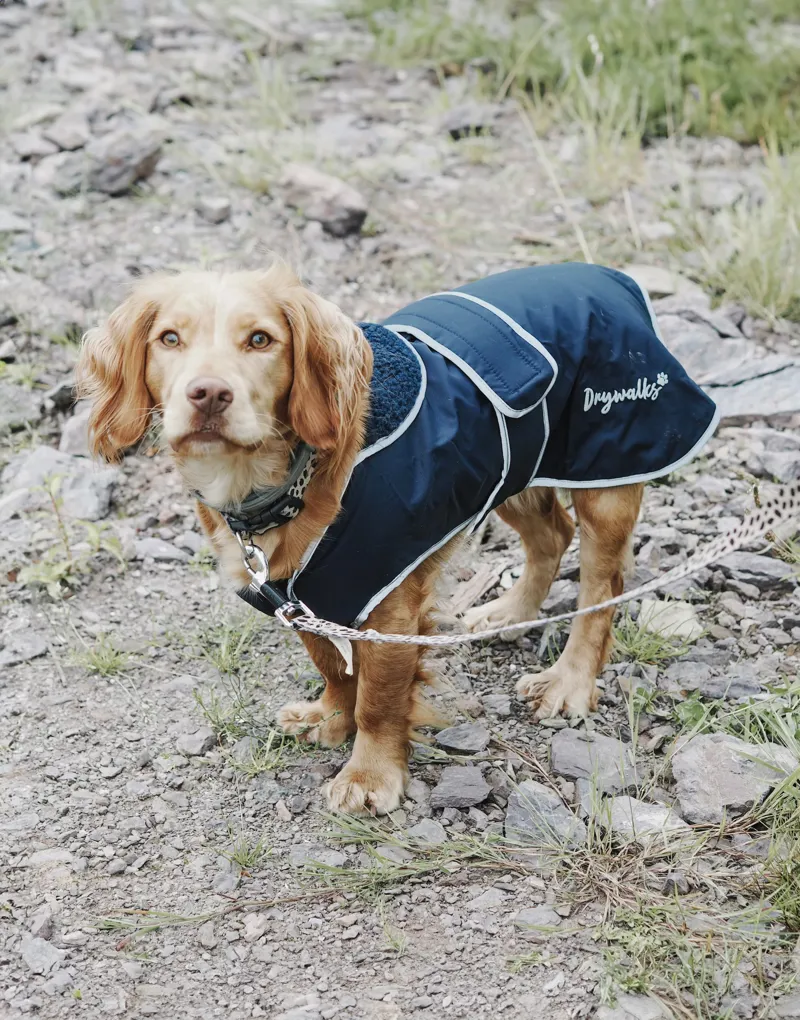 EQUIDRY Drywalks Waterproof Dog Coat - Navy-1