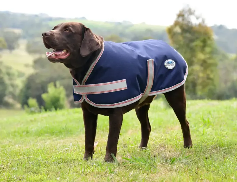 WeatherBeeta ComFiTec Essential Dog Coat - Navy/Silver/Red