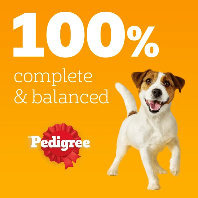 Pedigree Adult Wet Dog Food Mixed in Gravy 40 x 100g Mega Pack Pouch-3