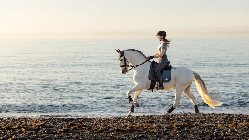 LeMieux Earth Dressage Square - Ocean-4