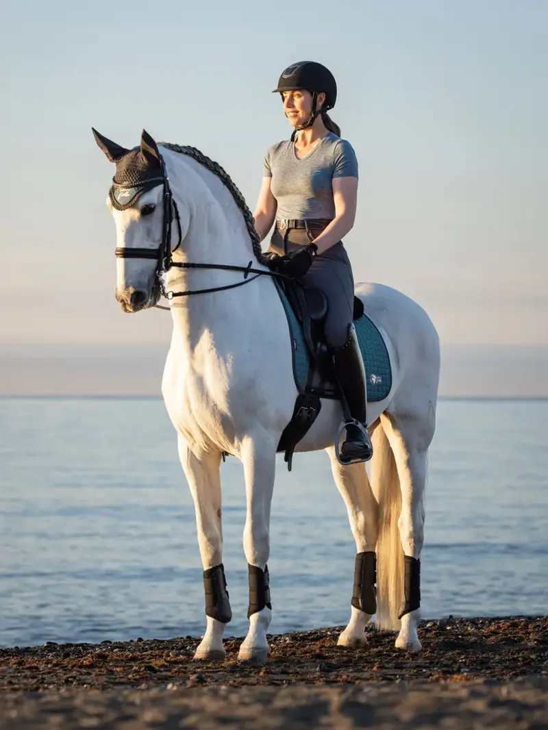 LeMieux Earth Dressage Square - Ocean-5