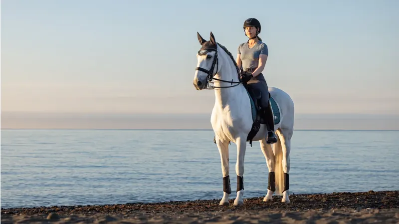 LeMieux Earth Dressage Square - Ocean-6