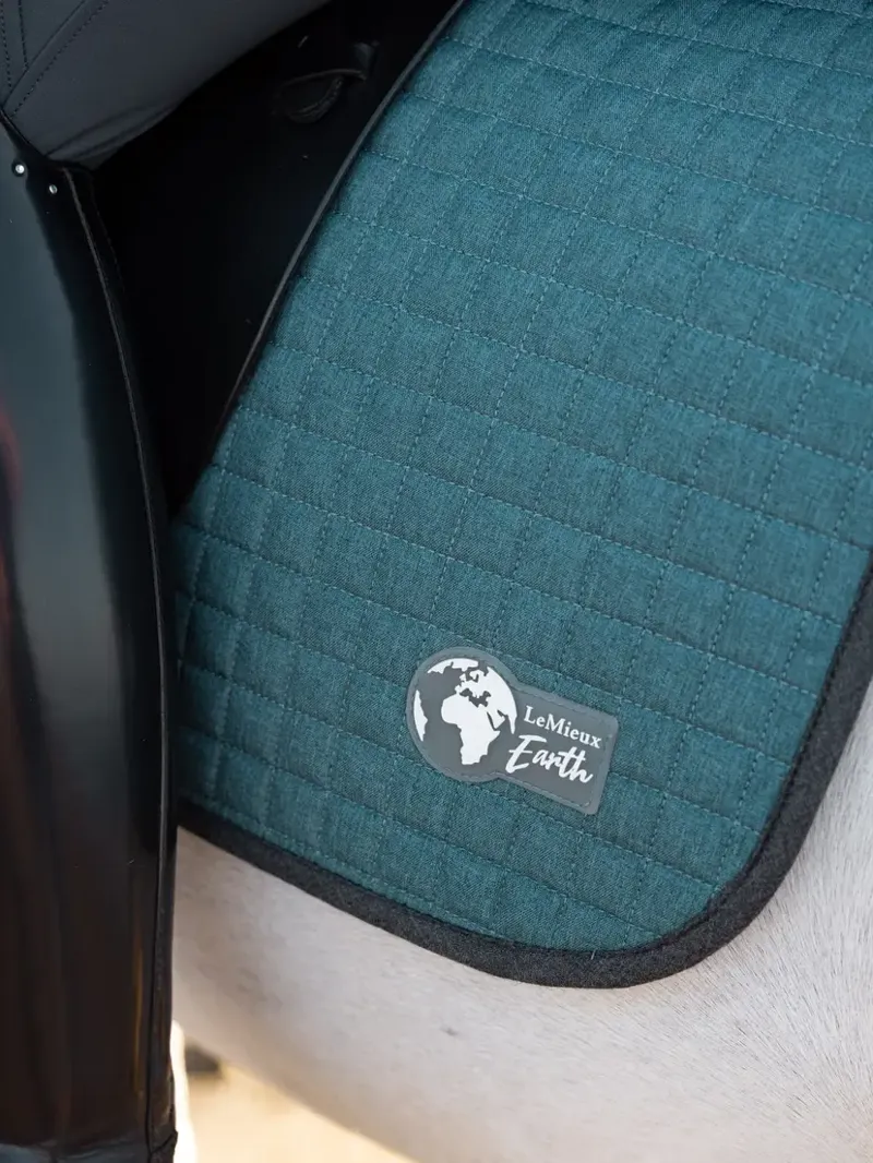 LeMieux Earth Dressage Square - Ocean-1