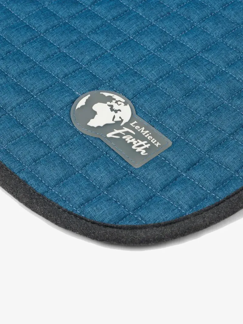 LeMieux Earth Dressage Square - Ocean-2