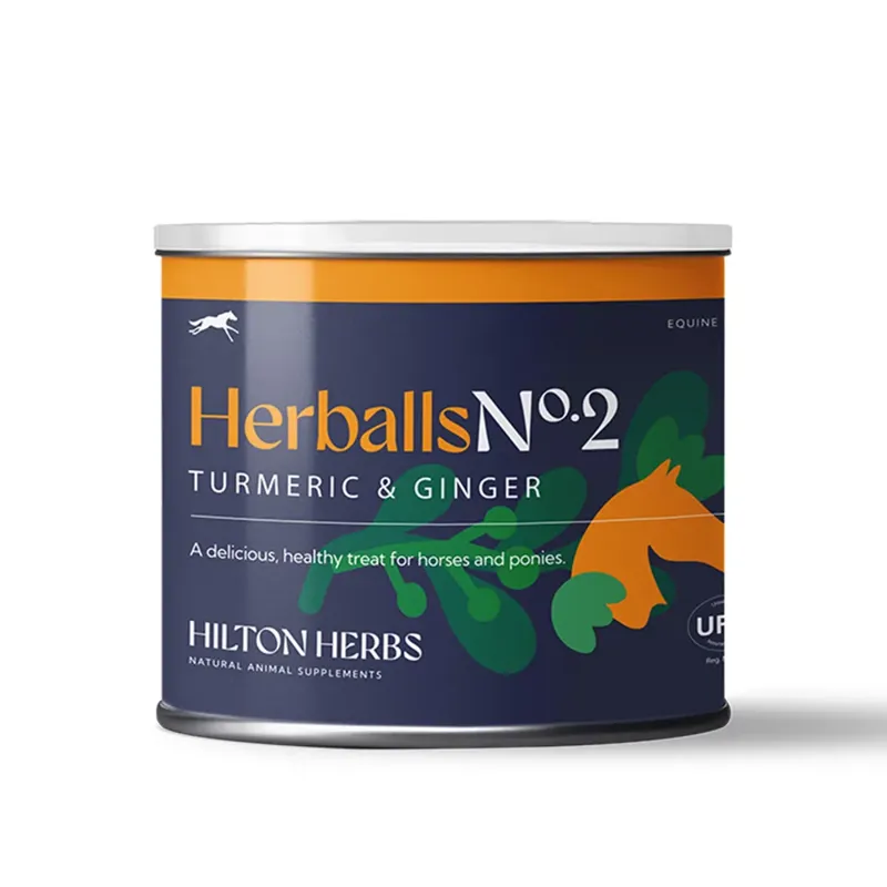 Hilton Herbs Herballs - Turmeric Ginger-1