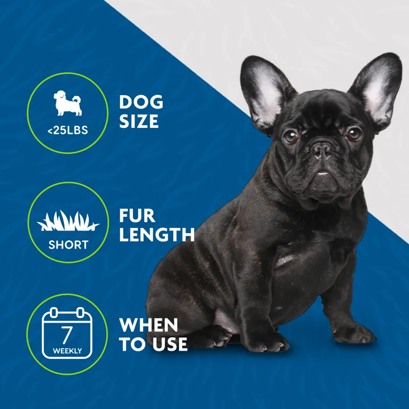 Furminator Undercoat DeShedding Tool For Dog - Small short hair-7