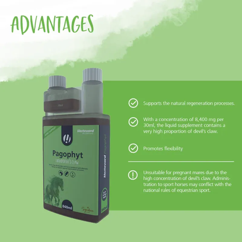 Hestevard Pagophyt - 840ml-1