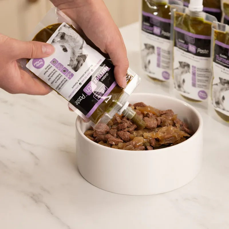 TurmerItch Paste For Dogs and Cats - 100g-2