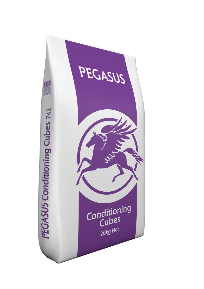 Pegasus Conditioning Cubes - 20kg