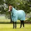 LeMieux Arika Ripstop 50g Turnout Rug - Lagoon