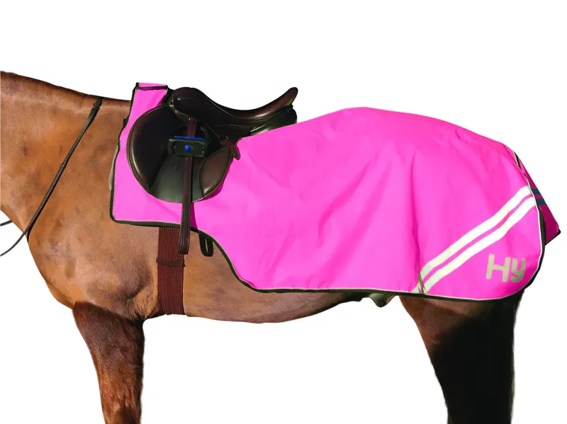 Hy Equestrian Reflector Exercise Sheet - Pink
