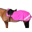 Hy Equestrian Reflector Exercise Sheet - Pink