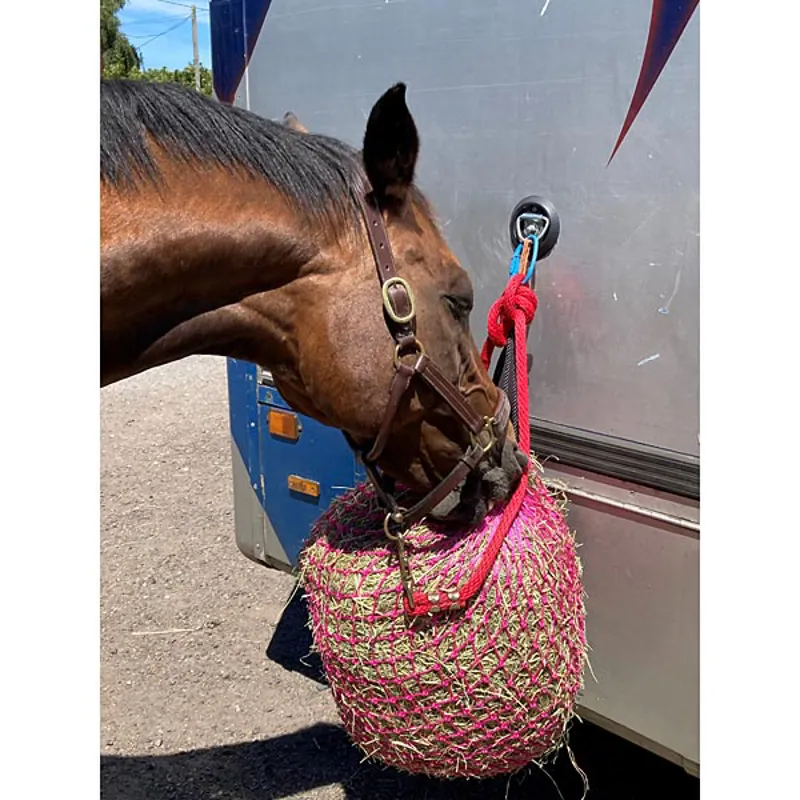 Elico Little Piggy Haynet - Large-1