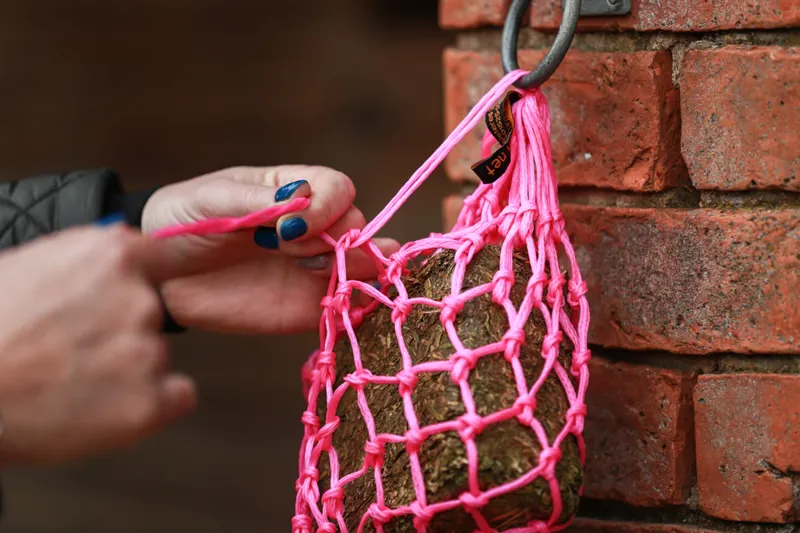 Equilibrium Munch Net Haynet - Pink-1