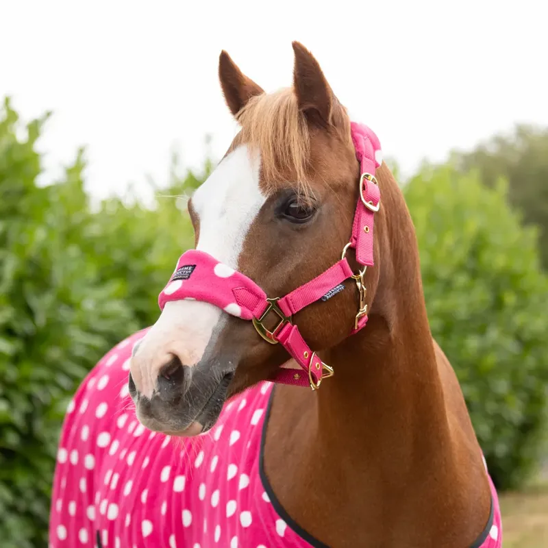 Supreme Products Dotty Fleece Head Collar and Lead Rope - Paradise Pink