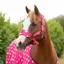 Supreme Products Dotty Fleece Head Collar and Lead Rope - Paradise Pink