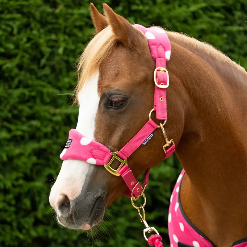 Supreme Products Dotty Fleece Head Collar and Lead Rope - Paradise Pink-1