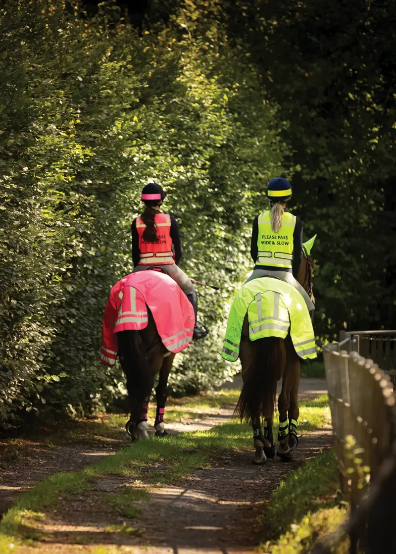 Woof Wear Exercise Sheet - Hi Vis Pink-1