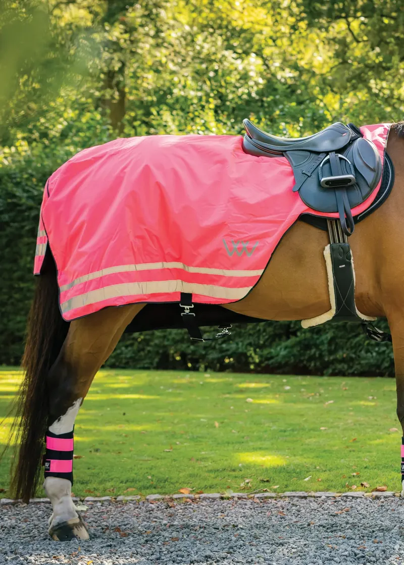 Woof Wear Winter Exercise Sheet - Hi Vis Pink