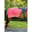 Woof Wear Winter Exercise Sheet - Hi Vis Pink