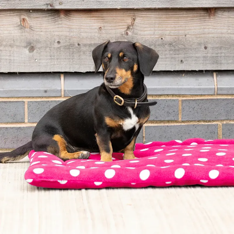 Supreme Products Dotty Fleece Dog Bed - Paradise Pink
