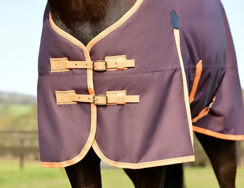 WeatherBeeta ComFiTec Essential 220g Combo Turnout Rug - Plum/Orange-1