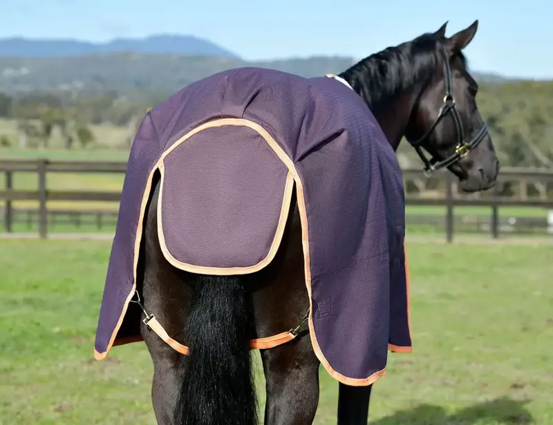 WeatherBeeta ComFiTec Essential 360g Combo Neck Rug - Plum/Orange-3