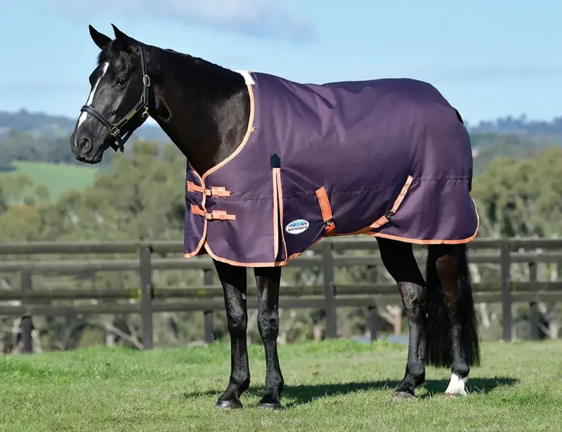 WeatherBeeta ComFiTec Essential 220g Standard Turnout Rug - Plum/Orange