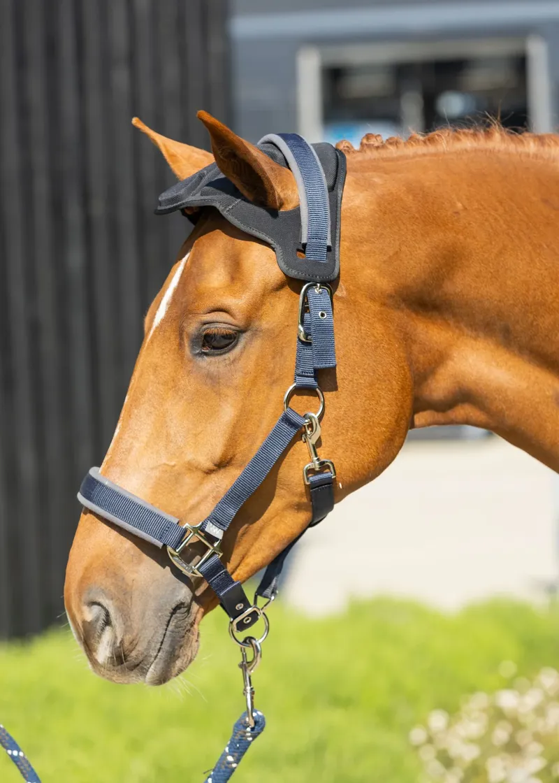 Woof Wear Poll Guard - Black Medium/Large-1