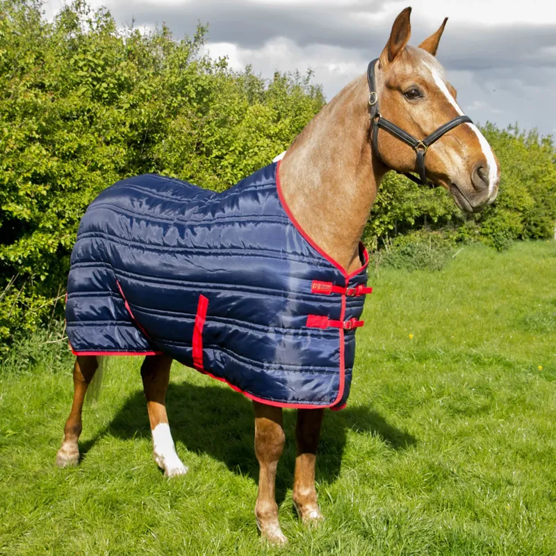 John Whitaker Thomas 250g Stable Rug - Navy/Red