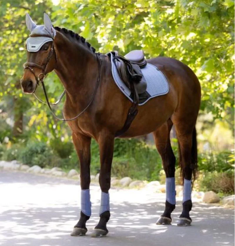 LeMieux Essence Close Contact Square - Powder Blue-1