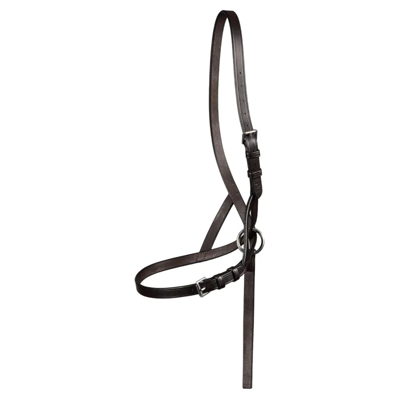 Premier Equine Standard Foal Slip 5/8 inch Headcollar - Dark Havana