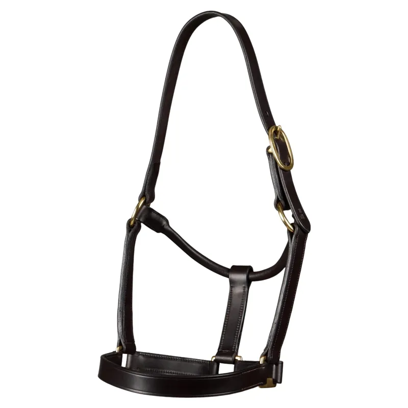 Premier Equine Yearling Headcollar 1 inch - Dark Havana-1