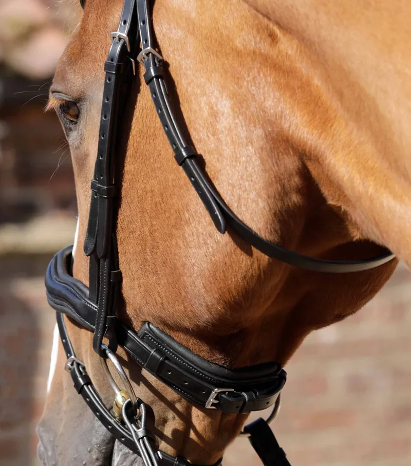 Premier Equine Throatlash - Black-2