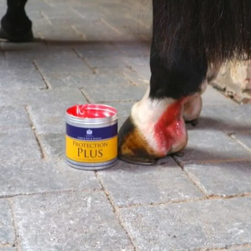 Carr and Day and Martin Protection Plus Antibacterial Salve - 500ml-1