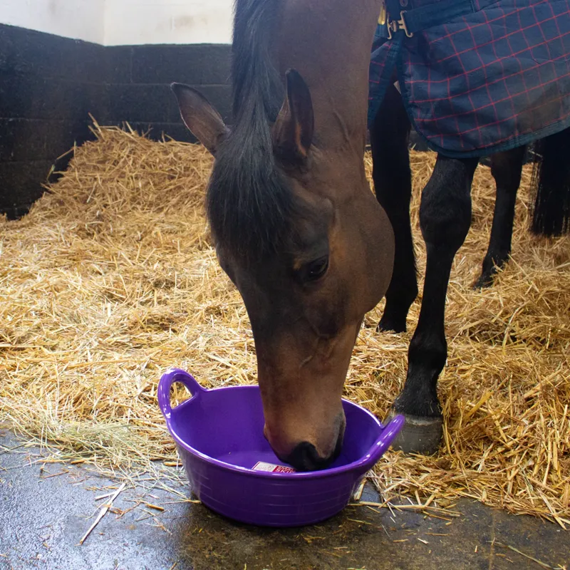 Red Gorilla Plas Small Feed Skip 11L - Purple-1