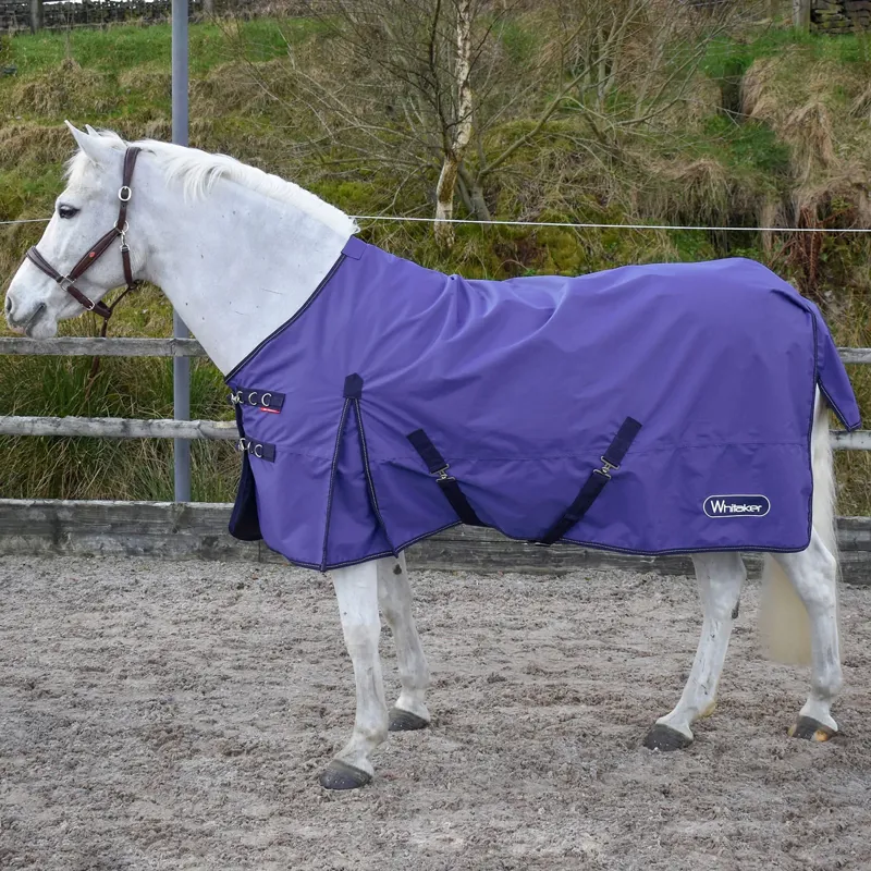 John Whitaker Rastrick 0g Turnout Rug - Purple