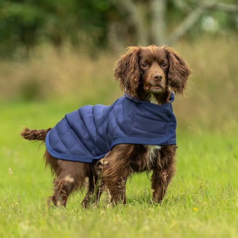 WeatherBeeta ComFiTec Deluxe Diamond Quilt Dog Coat - Navy-1