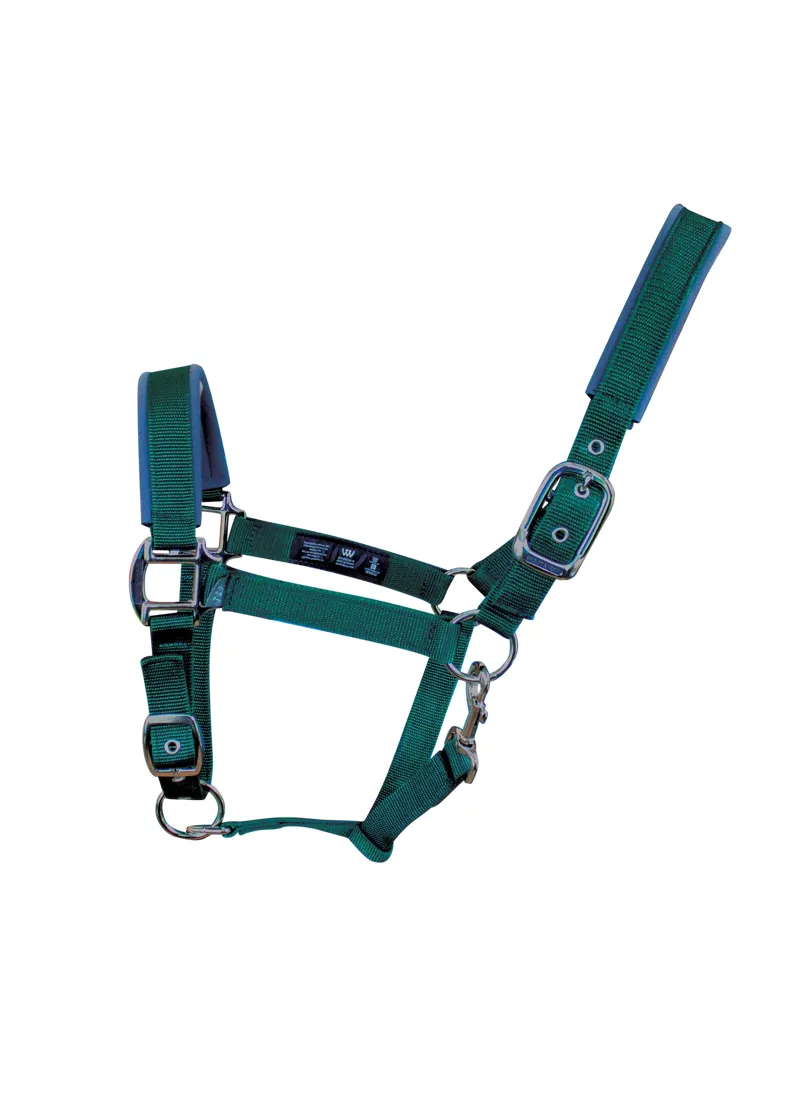 Woof Wear Contour Head Collar - British Racing Green