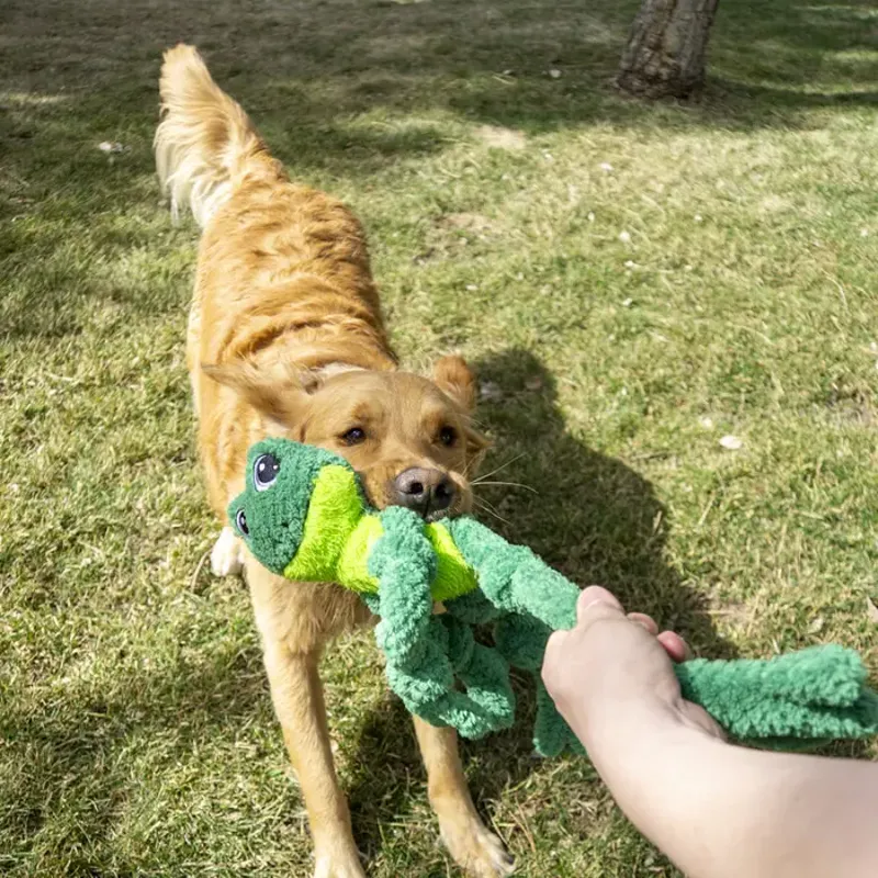 KONG Holiday Knots Frog dog toy-2
