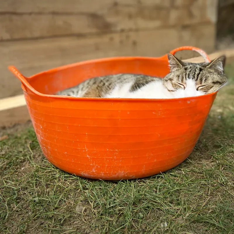 Red Gorilla Tubtrug Flexible Small Shallow 15L Bucket - Orange-1