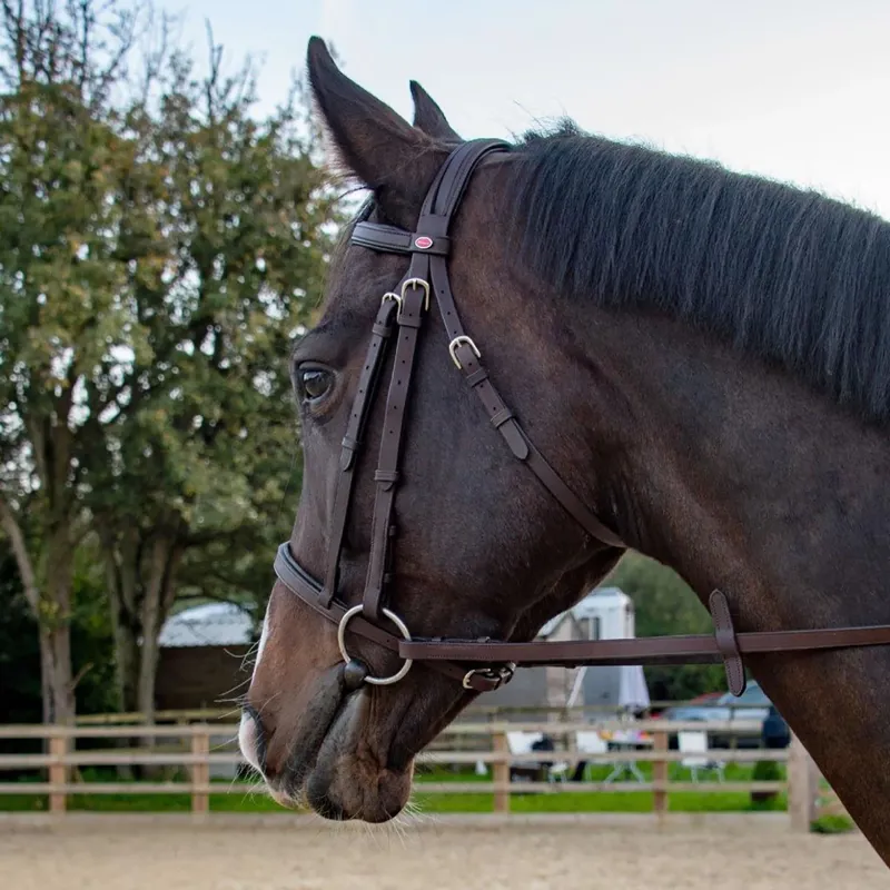John Whitaker Ready To Ride Snaffle Bridle - Havana