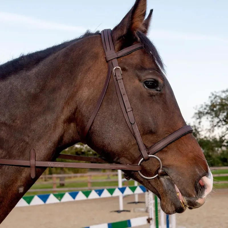 John Whitaker Ready To Ride Snaffle Bridle - Havana-1
