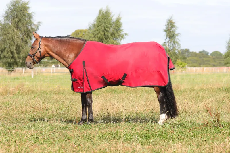 Hy Equestrian HyCONIC 50g Turnout Rug - Red/Charcoal