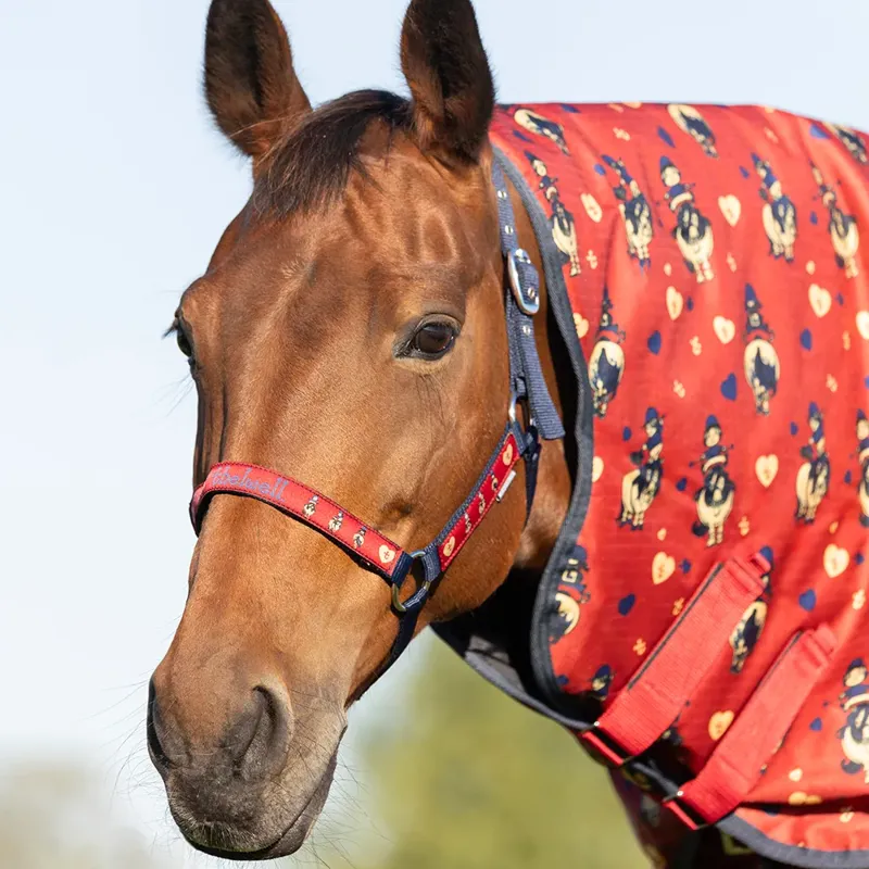 Hy Equestrian Thelwell Collection Balancing Act Head Collar and Lead Rope - Red/Navy-3