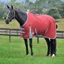 WeatherBeeta ComFiTec Essential 50g Lite Plus Turnout Rug - Red/Blue/Beige