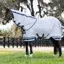 LeMieux Arika Armour-Tek Fly Rug - Reflective