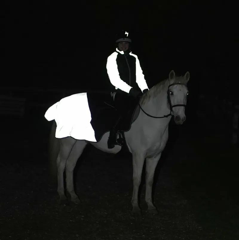 Hy Equestrian Silva Flash Waterproof Exercise Sheet - Black/Reflective Silver-2