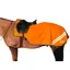 Hy Equestrian Reflector Exercise Sheet - Orange